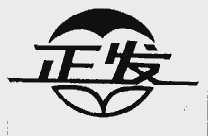 正发