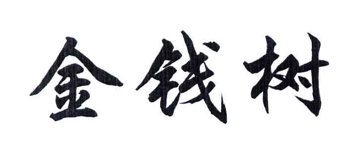 金钱树
