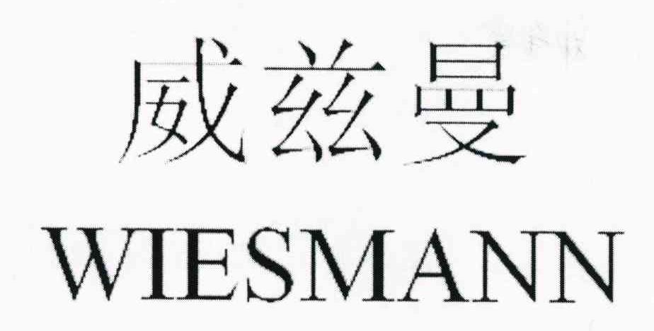 威兹曼 WIESMANN