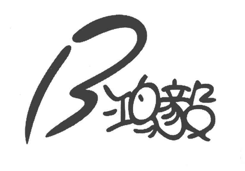 鸿毅 B