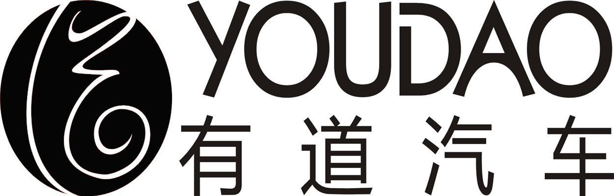 有道汽车 YOUDAO