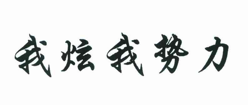 我炫我势力