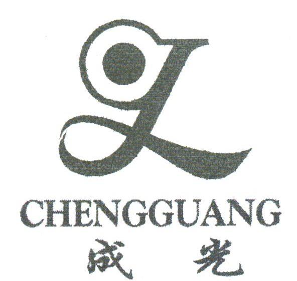 成光