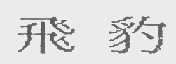 飞豹