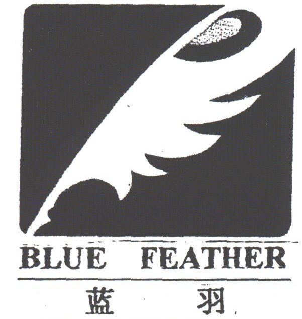 蓝羽;BLUE FEATHER