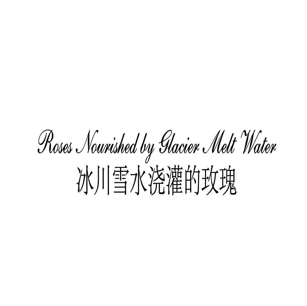 冰川雪水浇灌的玫瑰 ROSES NOURISHED BY GLACIER MELT WATER
