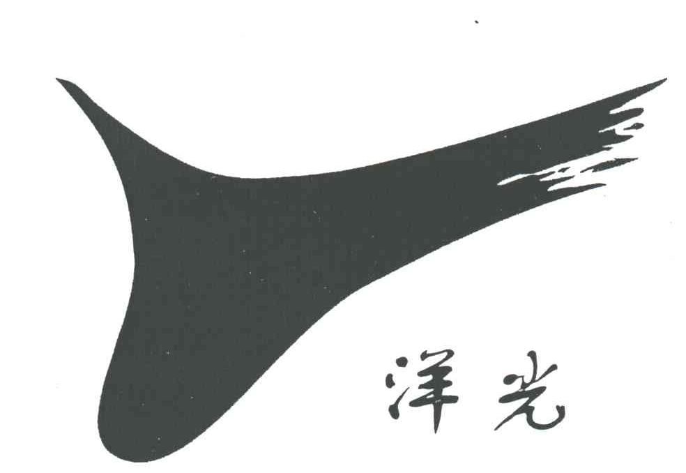 洋光