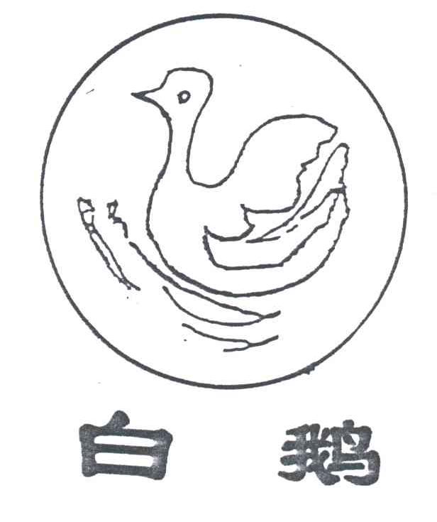 白鹅及图形