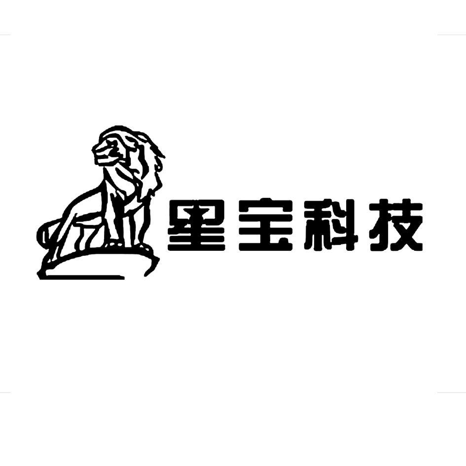 星宝科技