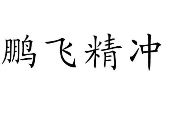 鹏飞精冲