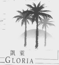 凯莱   GLORIA