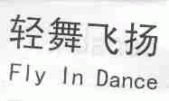 轻舞飞扬;FLY IN DANCE