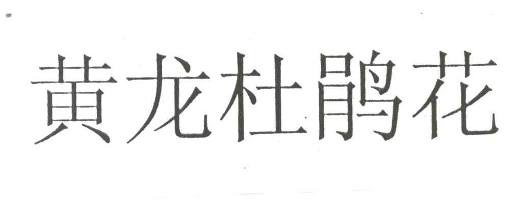 黄龙杜鹃花
