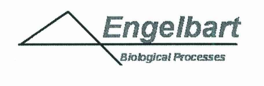 ENGELBART BIOLOGICAL PROCESSES