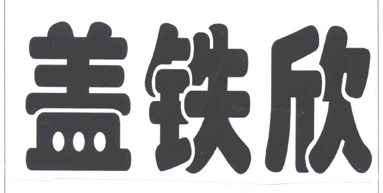 盖铁欣