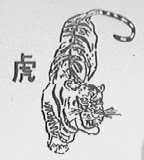虎