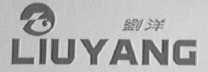 刘洋