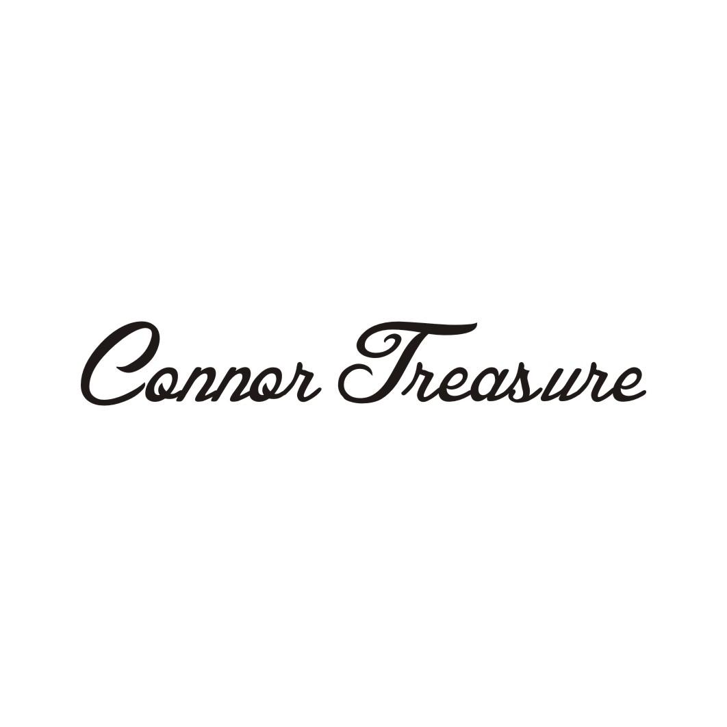 CONNOR TREASURE
