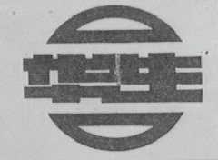 华生