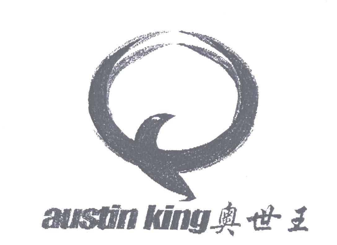 Q;AUSTIN KING;奥世王