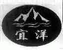 宜洋