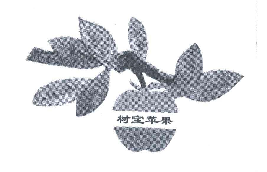 树宝苹果