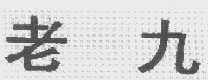 老九