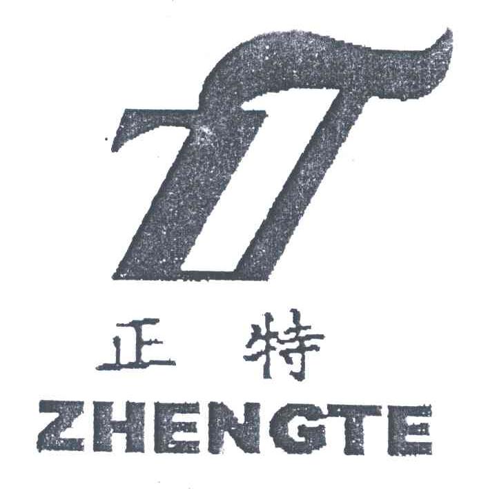 正特