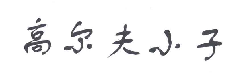 高尔夫小子