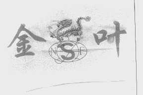金叶   NSF