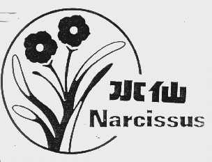 水仙   NARCISSUS