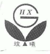 煌曦