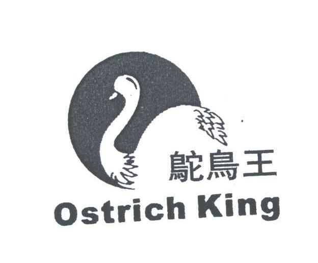 鸵鸟王