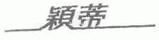 颖蒂