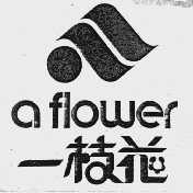 一枝花;A FLOWER