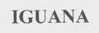 IGUANA