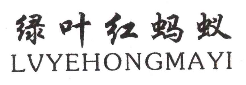 绿叶红蚂蚁