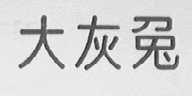 大灰兔