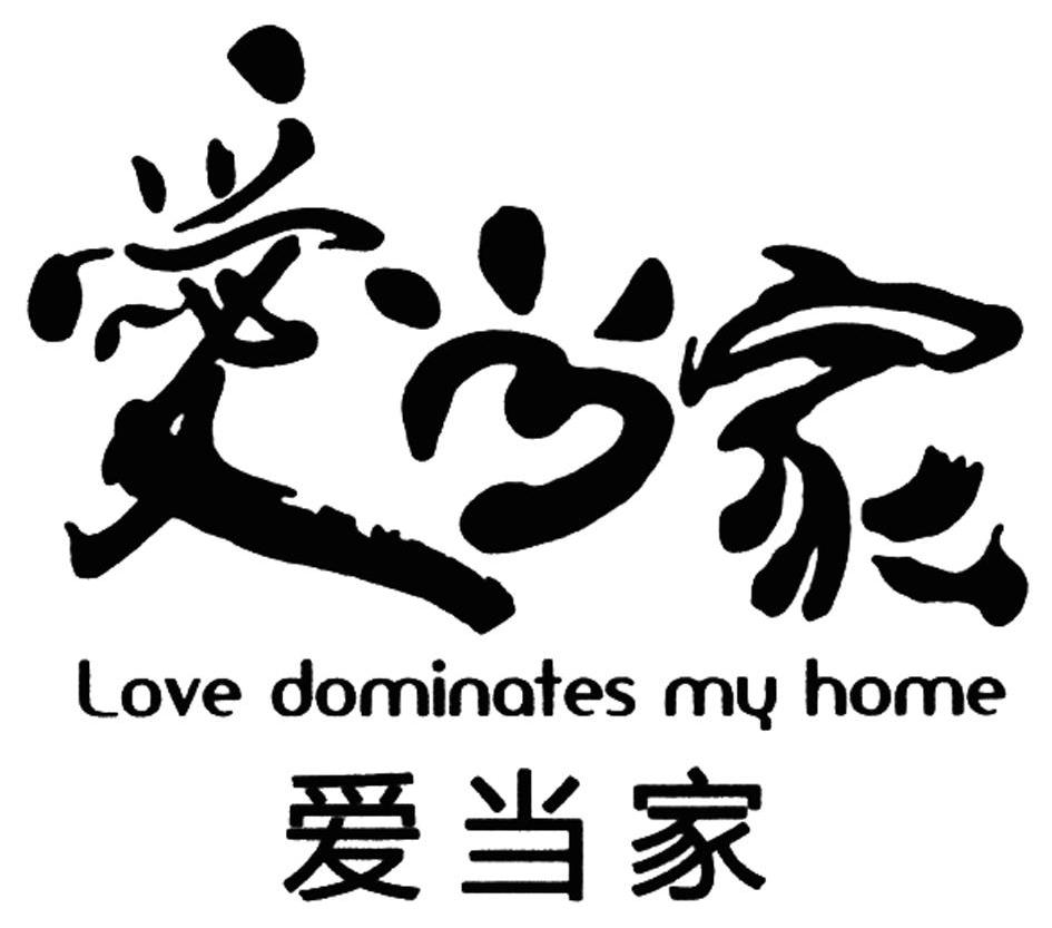爱当家 LOVE DOMINATES MY HOME
