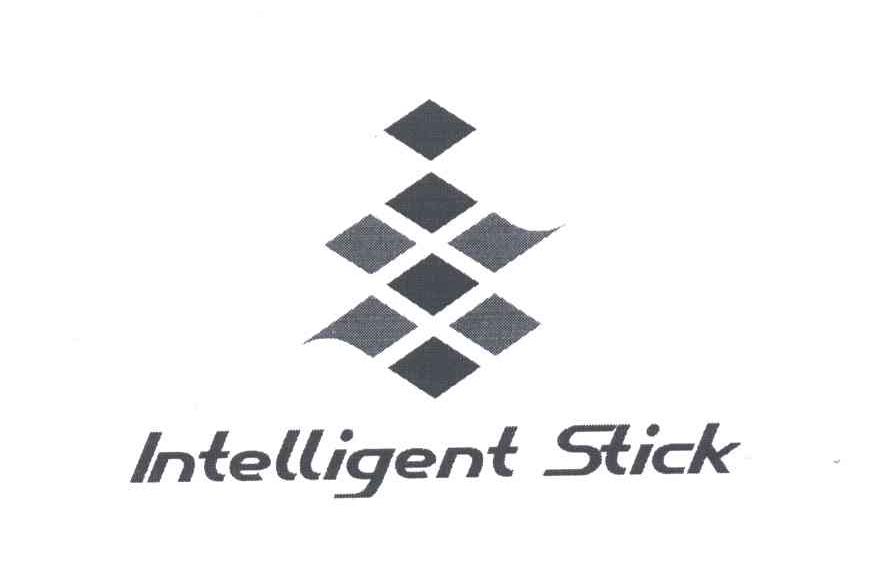 INTELLIGENT STICK