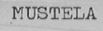 MUSTELA