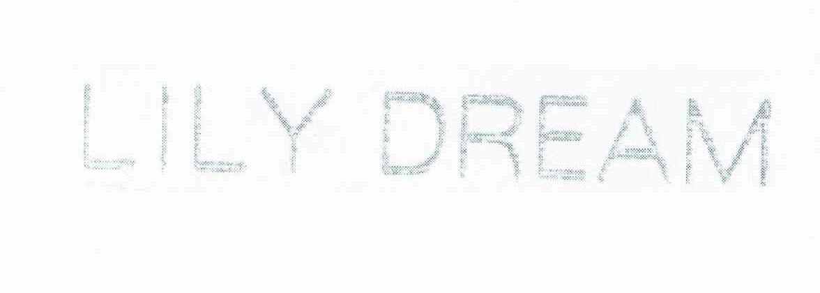LILY DREAM