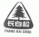 长白松