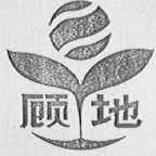 顾地