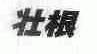 壮根