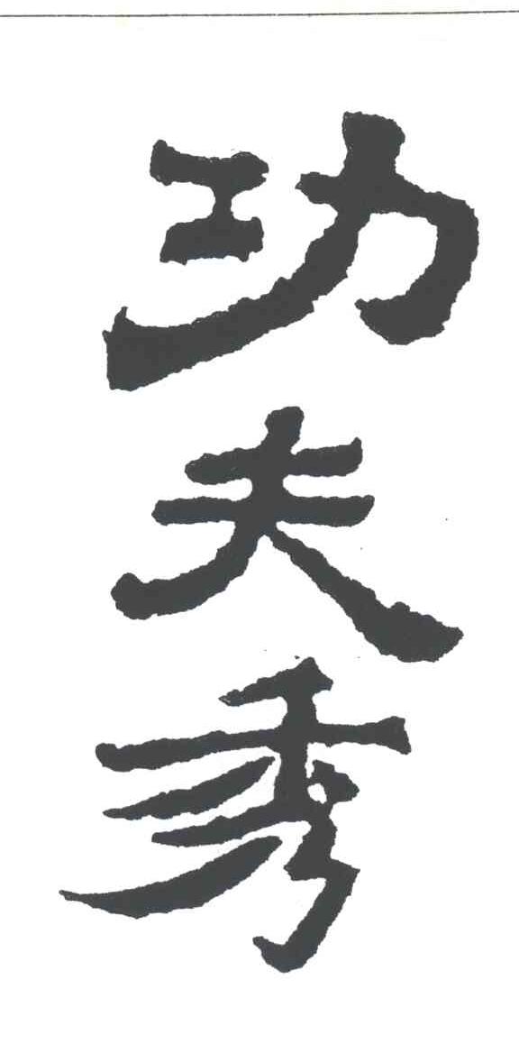 功夫秀