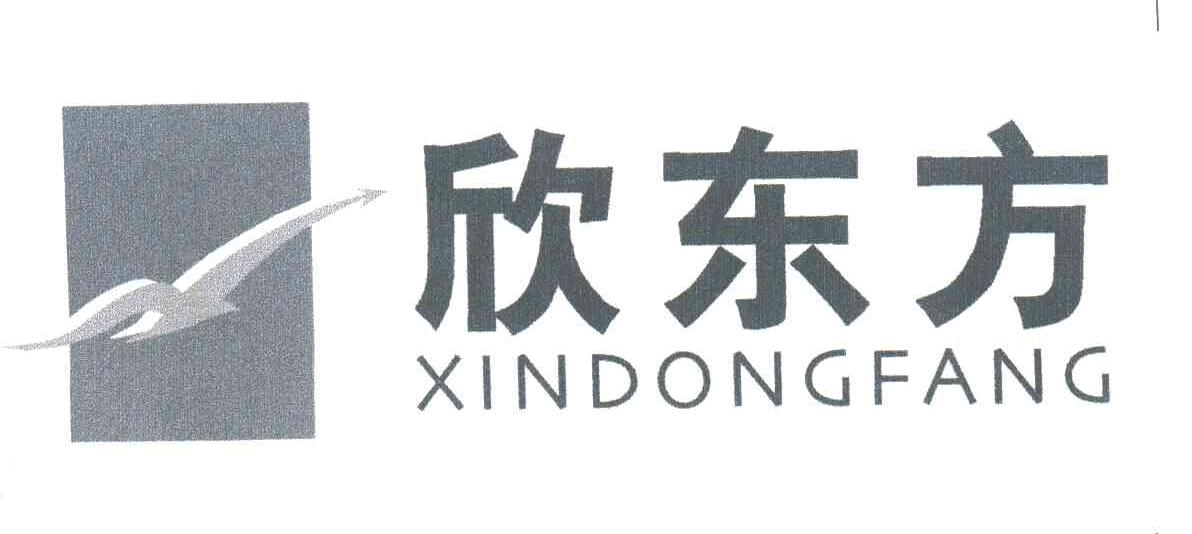 欣东方