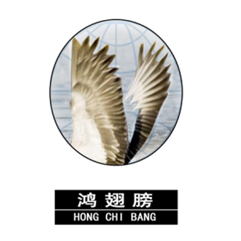 鸿翅膀