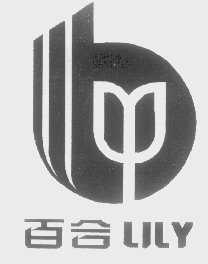 百合   LILY