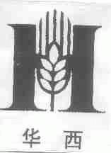 华西